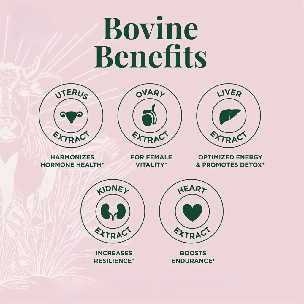 Rooted™️ Primal Health Blend Capsules