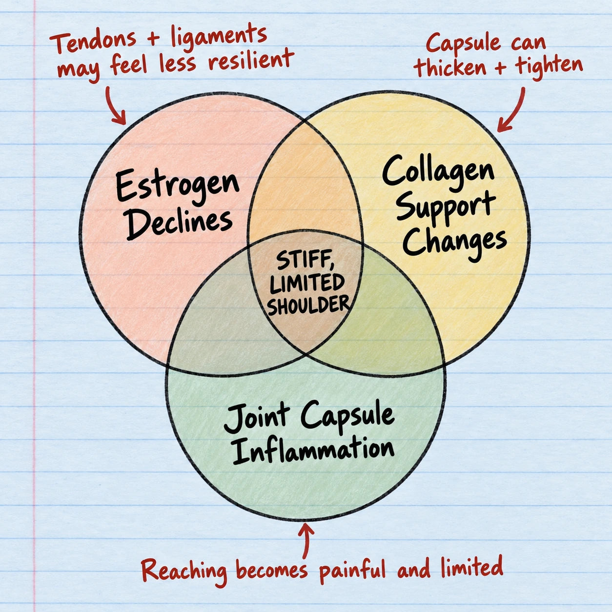 Handwritten diagram showing estrogen decline, collagen support changes and joint capsule inflammation around a stiff, limited shoulder